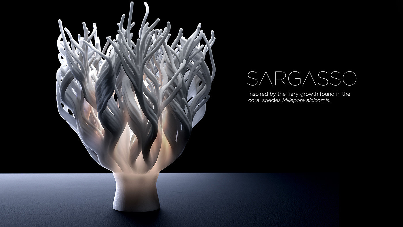 lighting，Coral，ocean，3D printing，Art，
