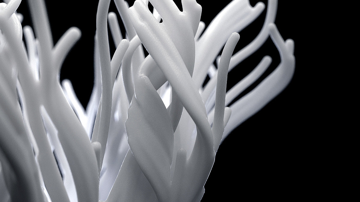 lighting，Coral，ocean，3D printing，Art，