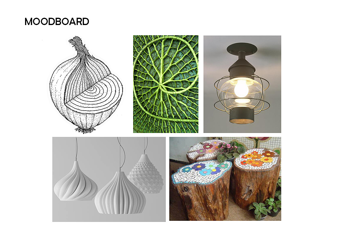 inspiration，onion，originality，Design，tool，