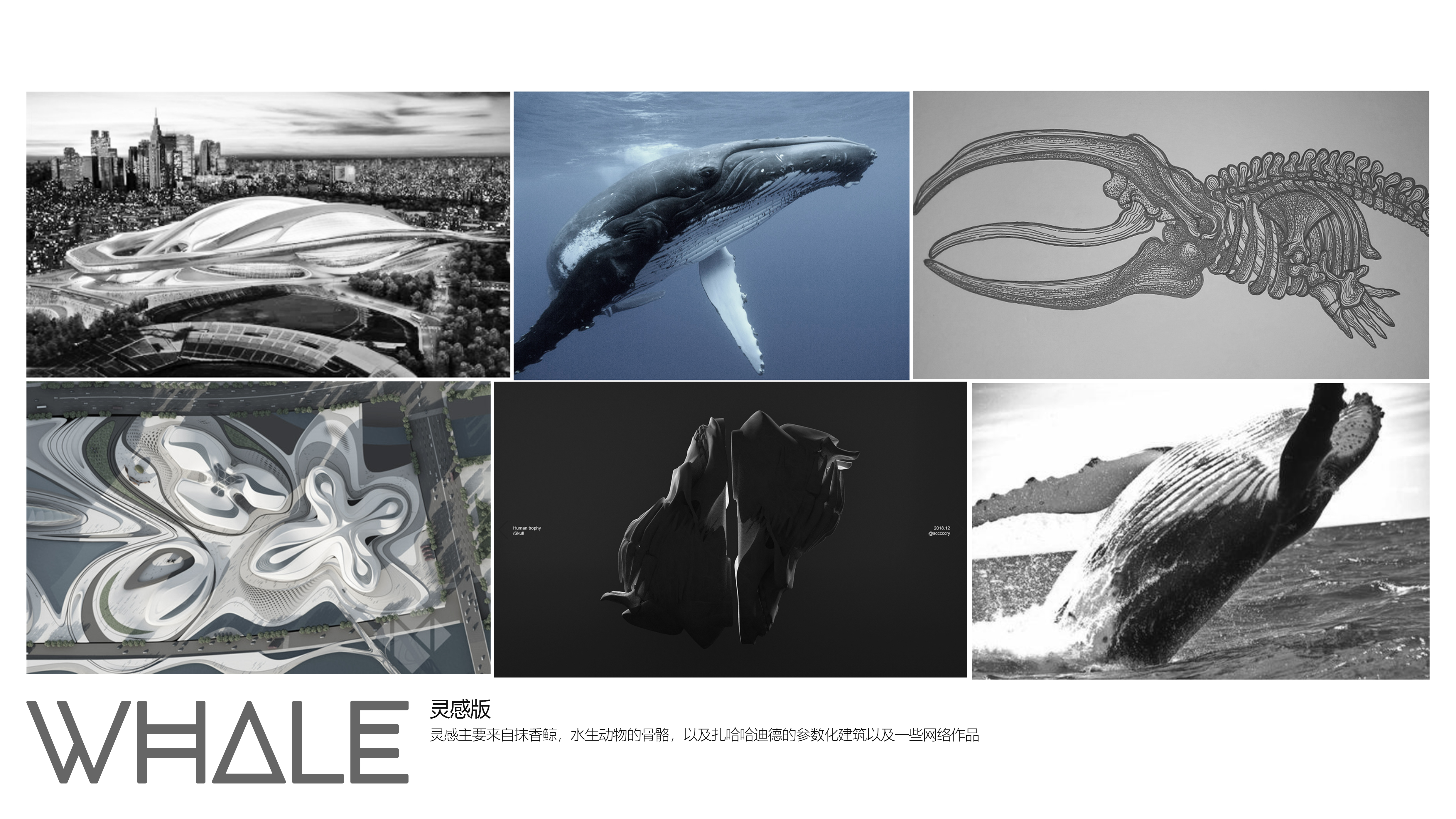 Soccer shoes，shoes，conceptual design，modularization，