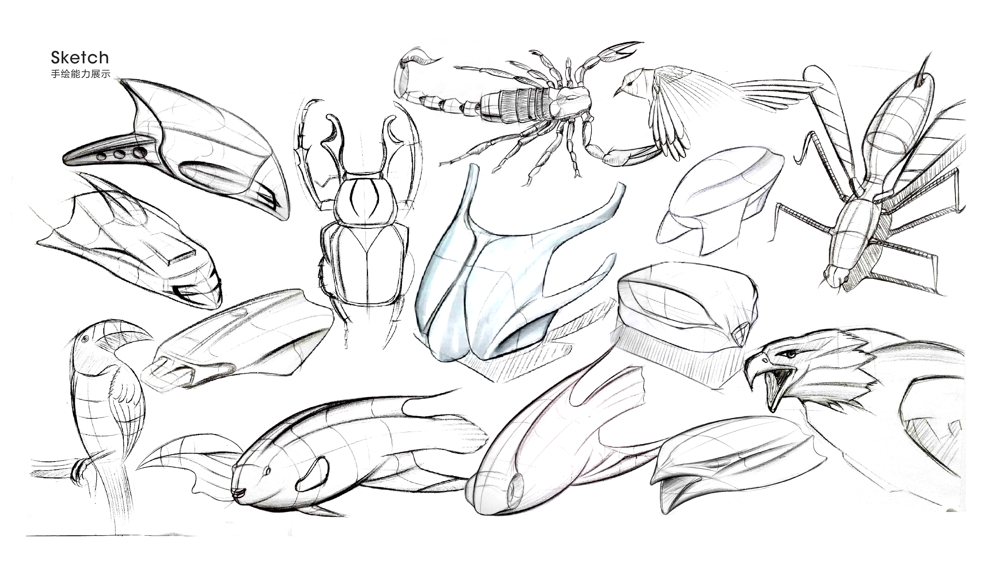 Industrial design process，Household appliances，