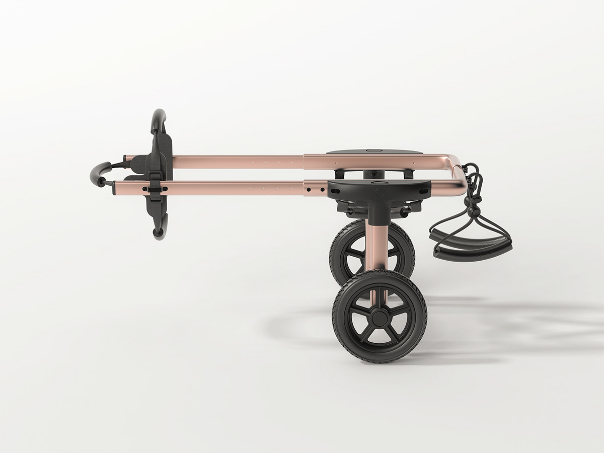 Pet wheelchair，dog，medical care，Wearable ，simple，Pet wheelchair，dog，medical care，Wearable ，simple，