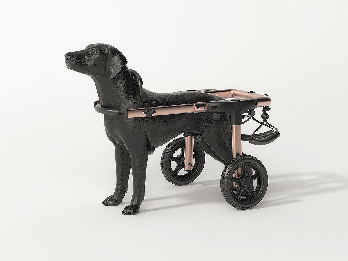 Pet wheelchair，dog，medical care，Wearable ，simple，Pet wheelchair，dog，medical care，Wearable ，simple，