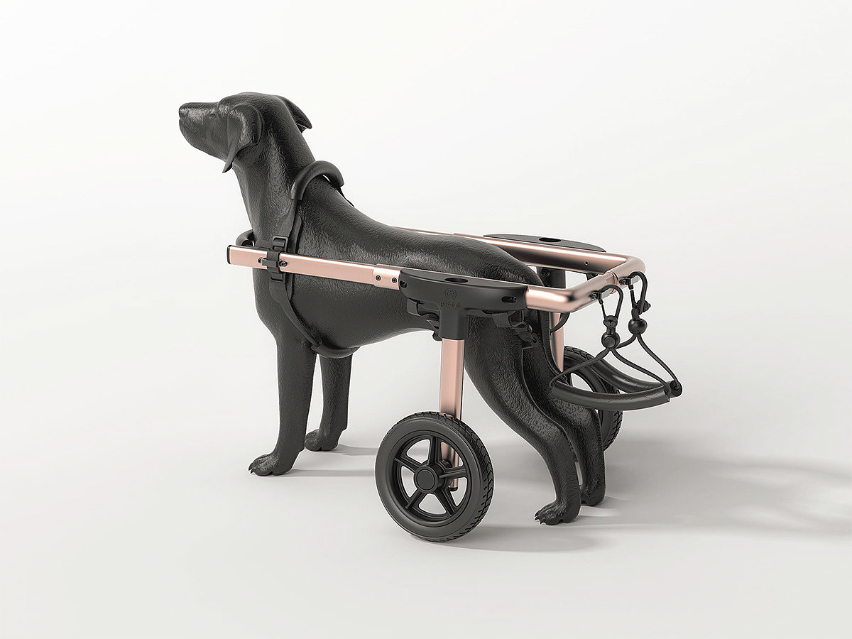 Pet wheelchair，dog，medical care，Wearable ，simple，Pet wheelchair，dog，medical care，Wearable ，simple，