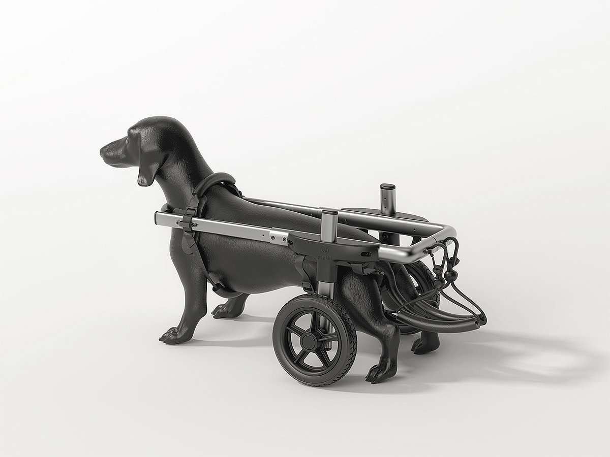 Pet wheelchair，dog，medical care，Wearable ，simple，Pet wheelchair，dog，medical care，Wearable ，simple，