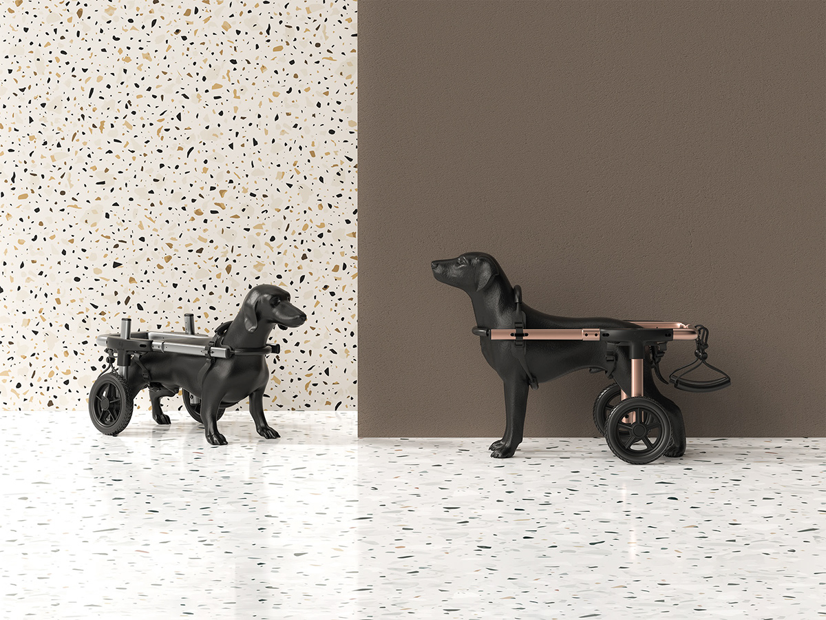 Pet wheelchair，dog，medical care，Wearable ，simple，Pet wheelchair，dog，medical care，Wearable ，simple，