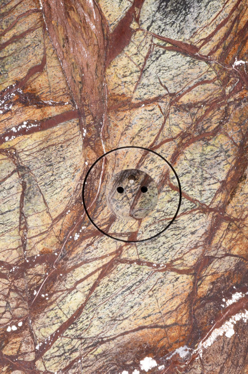 if，renovation，house，