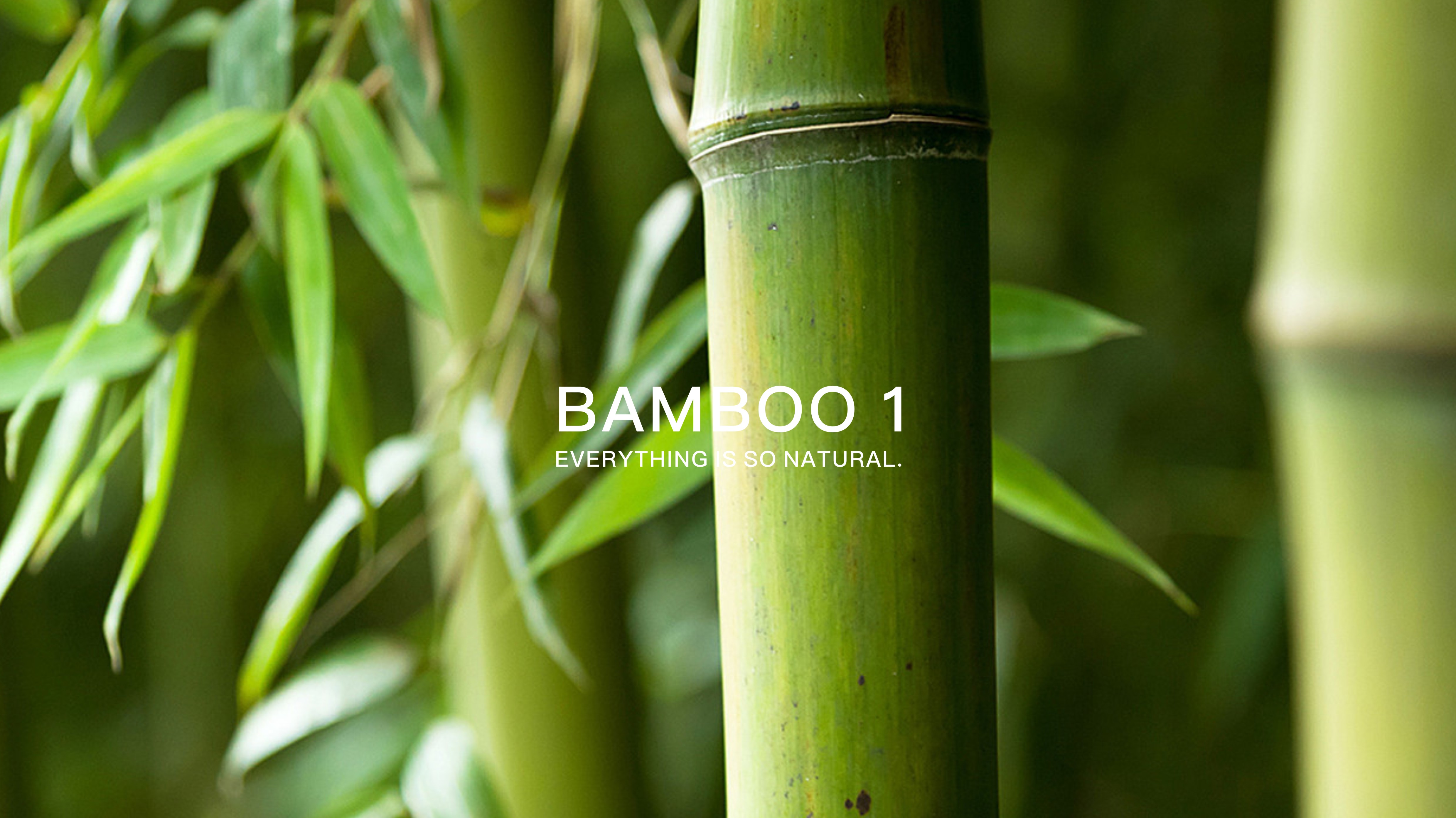 Wool ball trimmer，