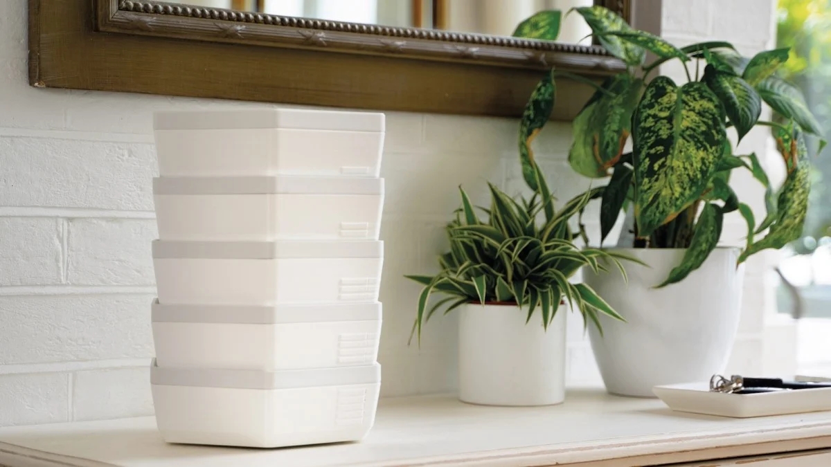 protein，insect，convenient，sustainable development，