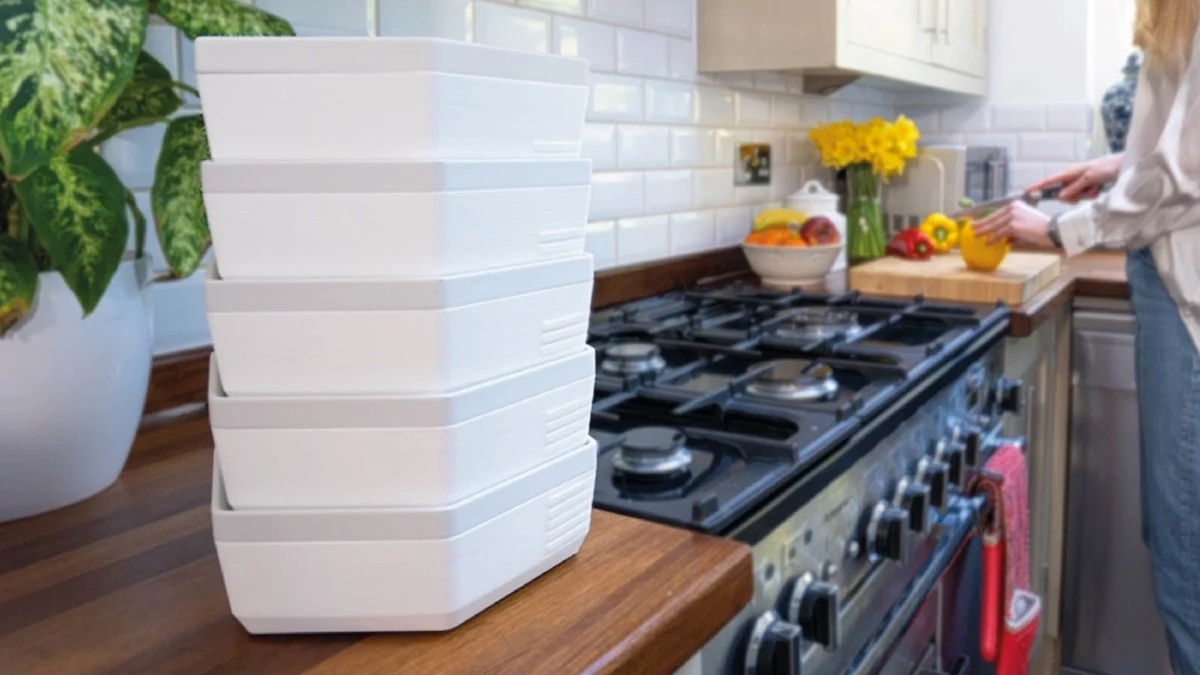 protein，insect，convenient，sustainable development，