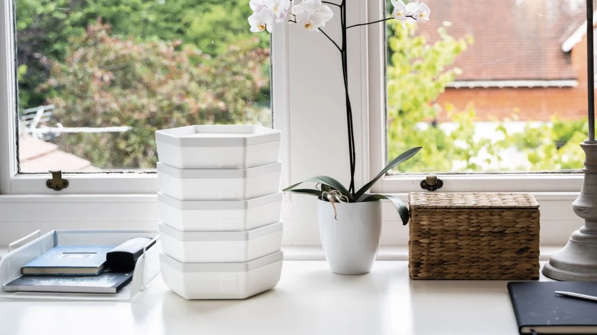 protein，insect，convenient，sustainable development，