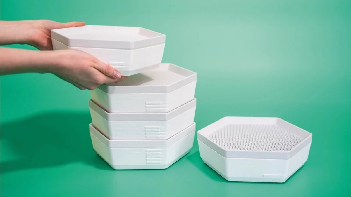 protein，insect，convenient，sustainable development，