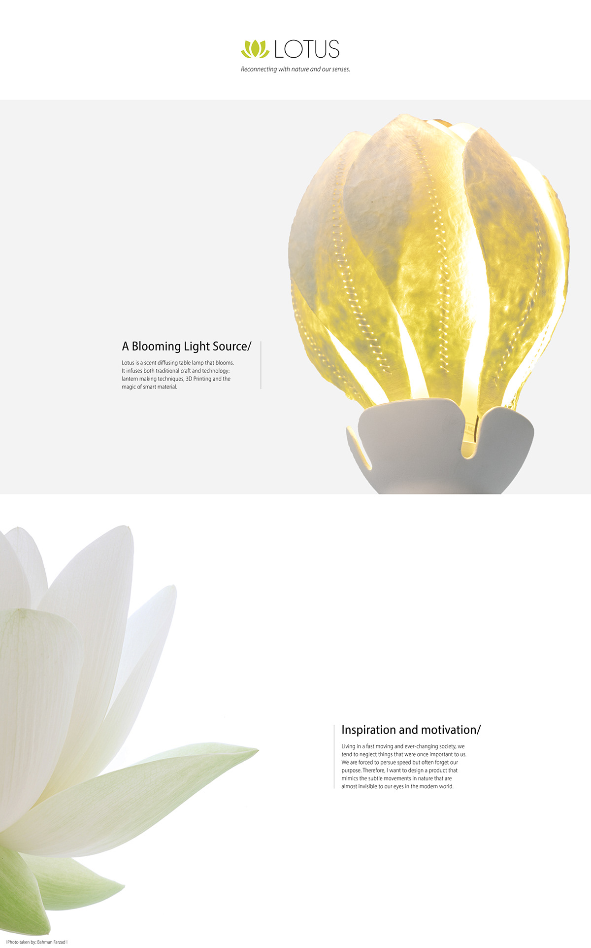 Desk lamp，Lotus，aroma，3D printing，