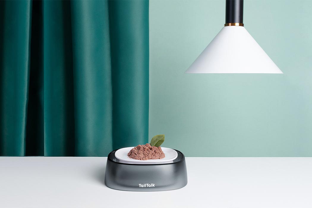 Pet bowl，cat，clean，hygiene，