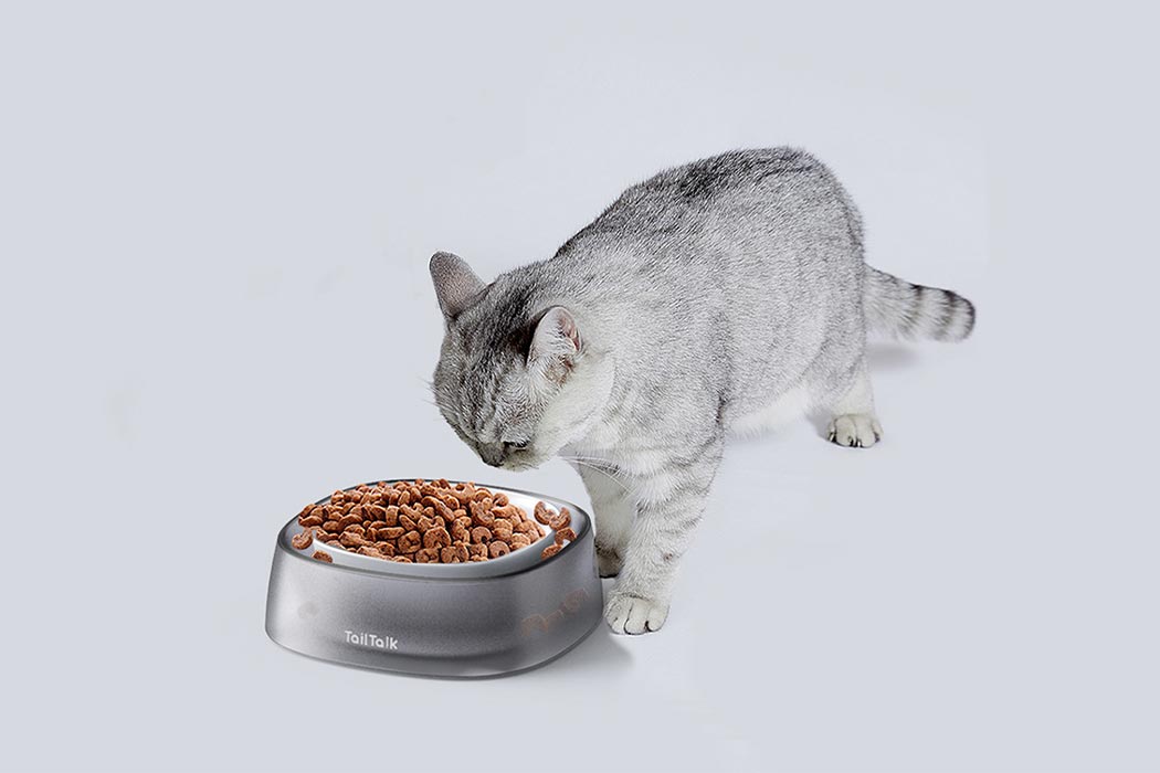 Pet bowl，cat，clean，hygiene，