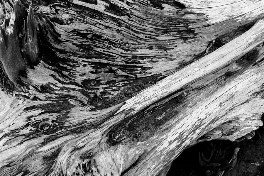 delicate，waterproof，product design，Wristwatch，man，Mechanics，