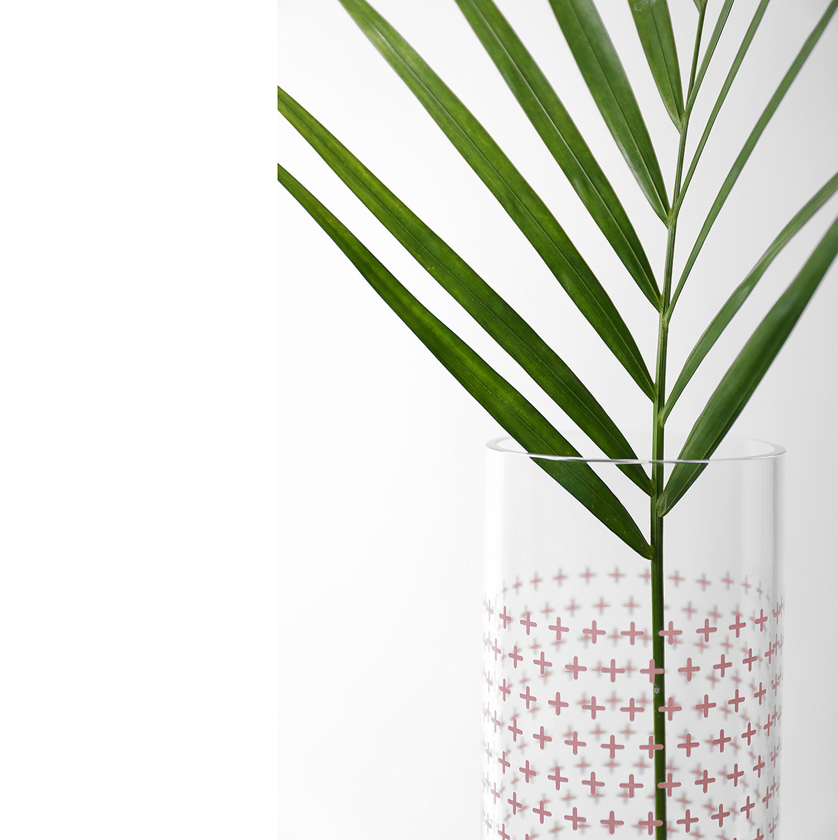 vase，Glass，collection，