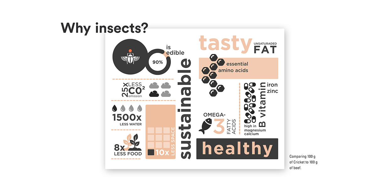 insect，food，Brand promotion，concept，