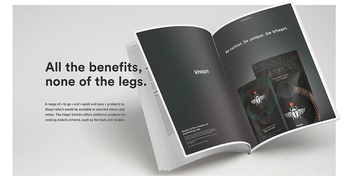 insect，food，Brand promotion，concept，