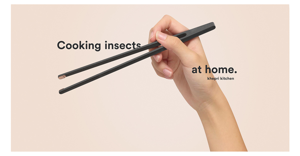 insect，food，Brand promotion，concept，