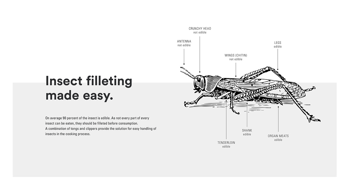 insect，food，Brand promotion，concept，