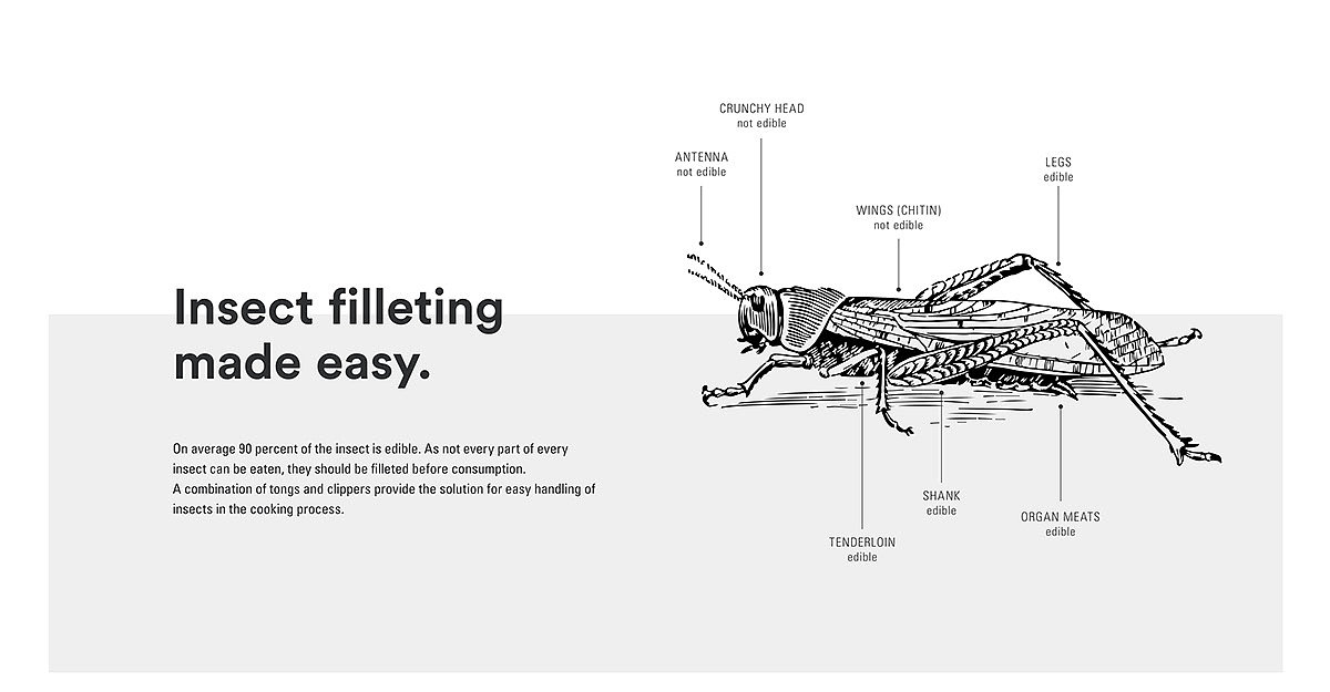 昆虫，食物，品牌推广，概念，