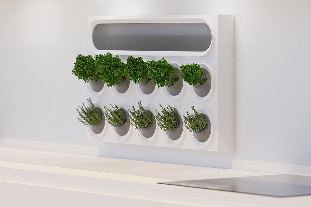 garden，indoor，plant，green，modularization，