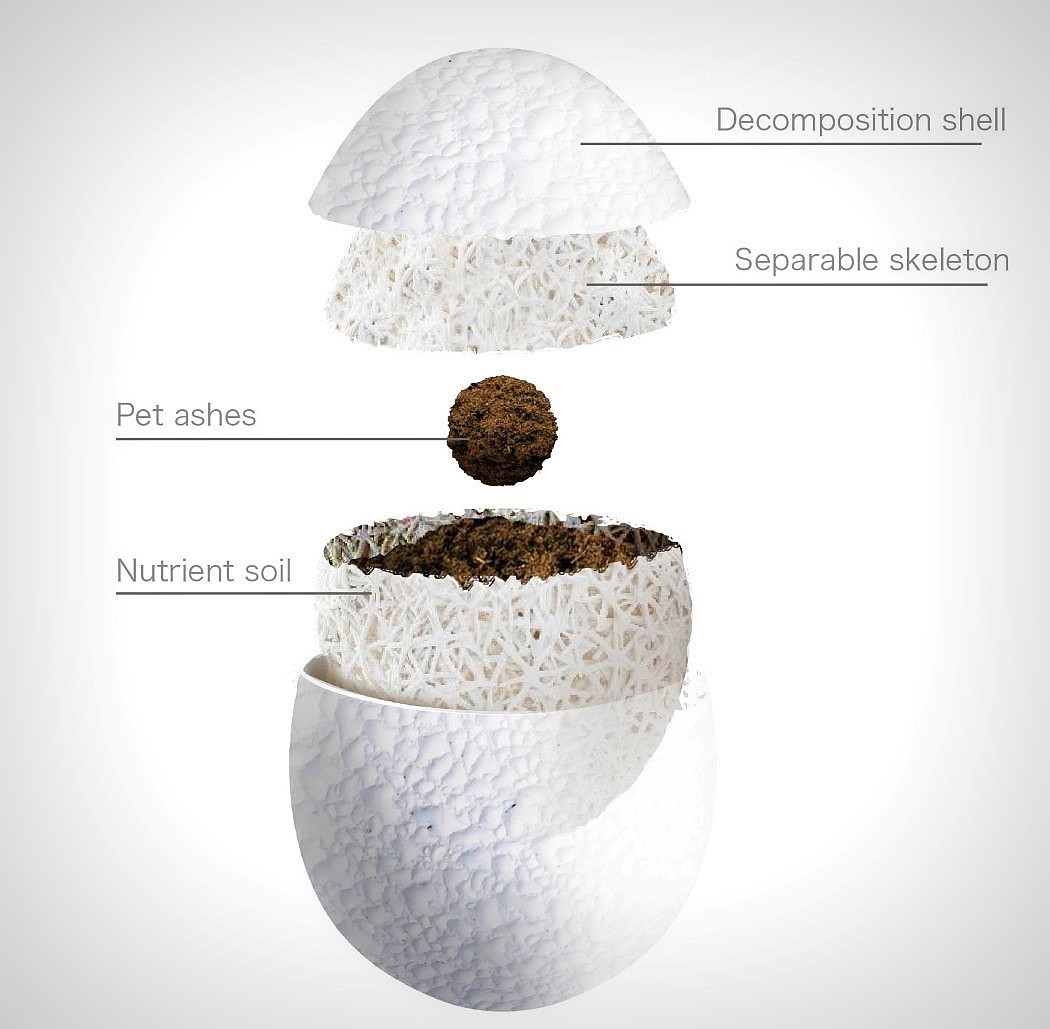 product design，industrial design，Pets，Botany，originality，