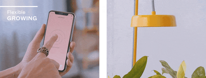 seeder，lamp，decorate，Minimalism，