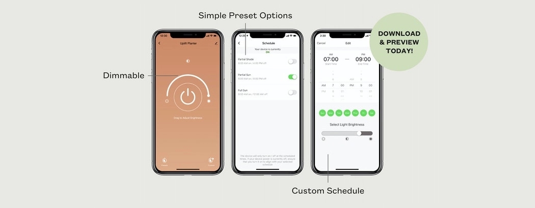 seeder，lamp，decorate，Minimalism，