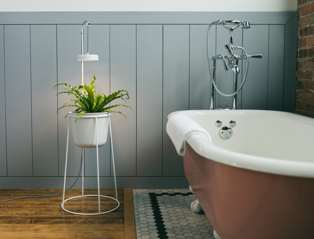 seeder，lamp，decorate，Minimalism，