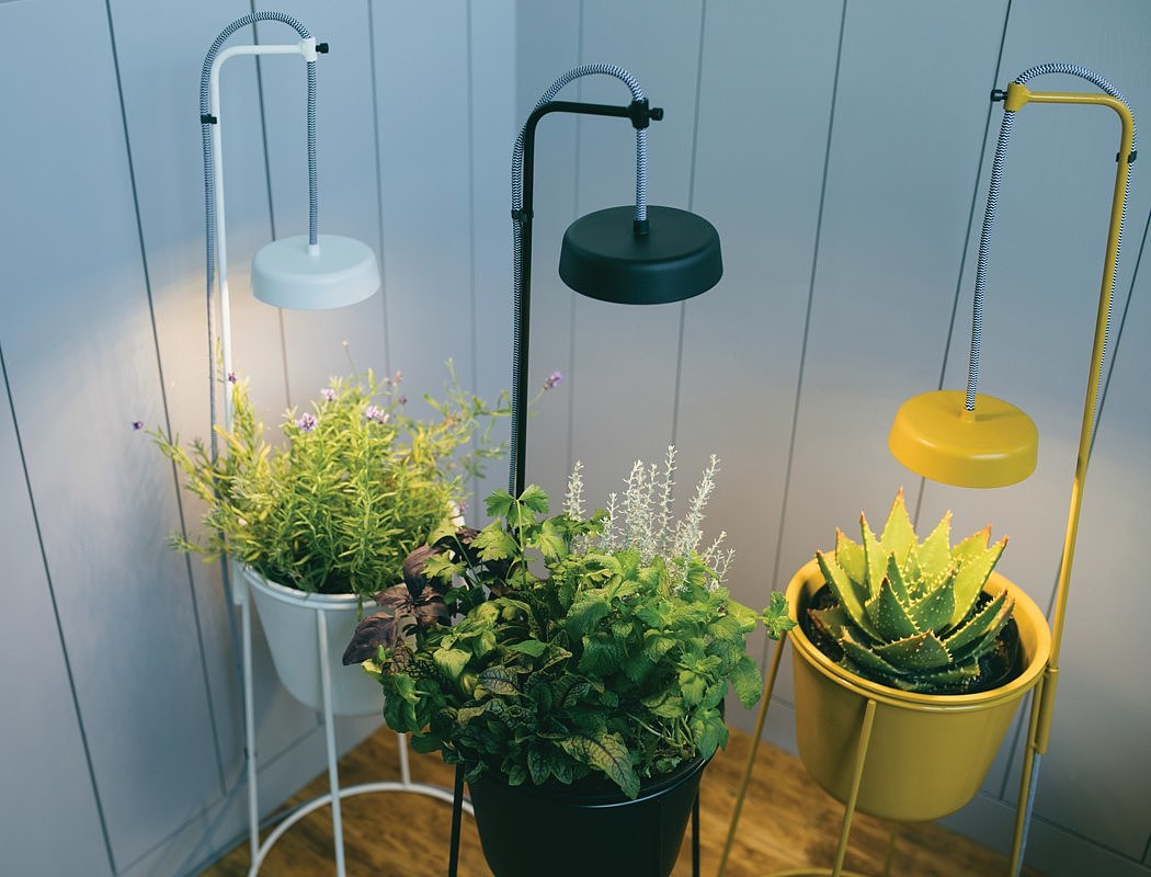 seeder，lamp，decorate，Minimalism，