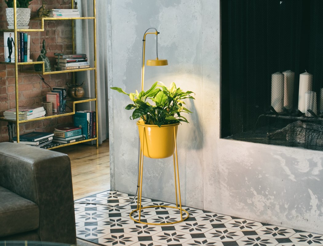 seeder，lamp，decorate，Minimalism，