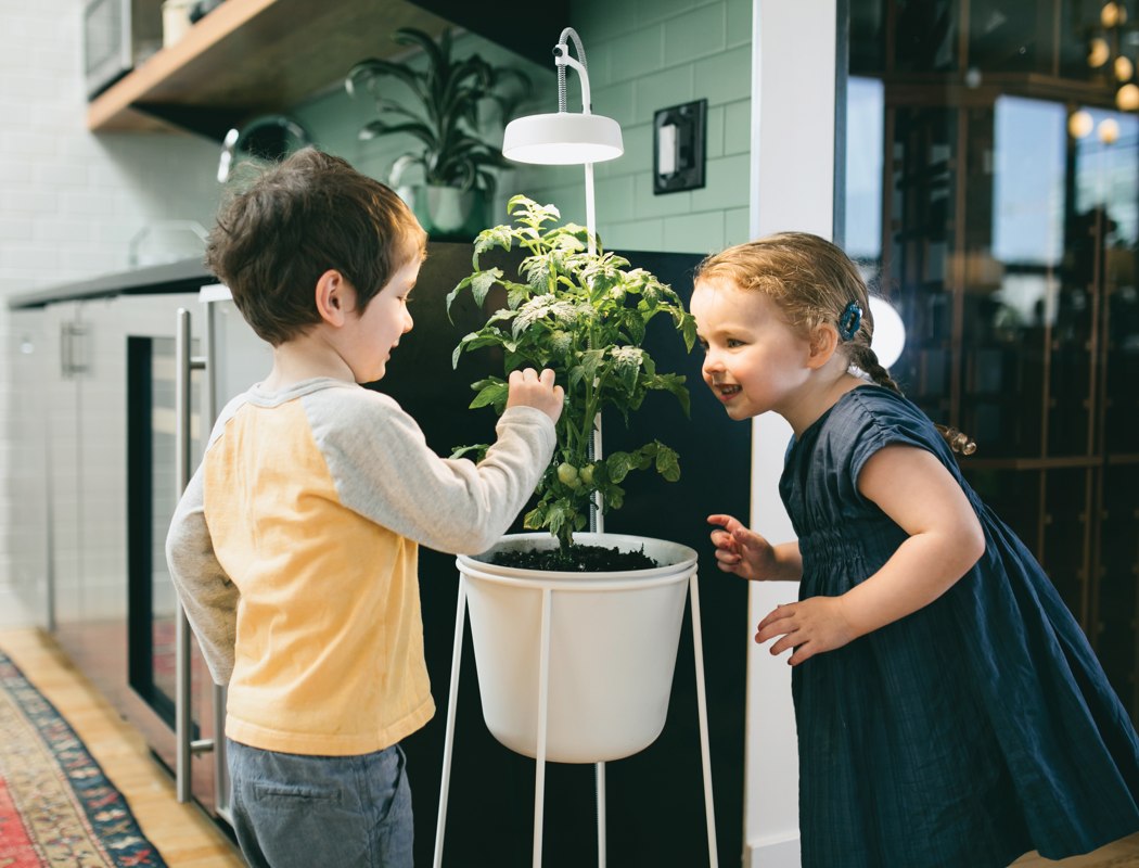 seeder，lamp，decorate，Minimalism，