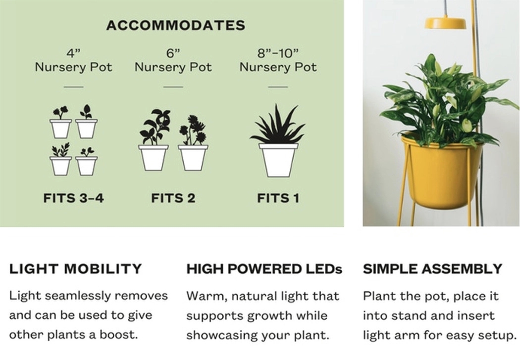 seeder，lamp，decorate，Minimalism，