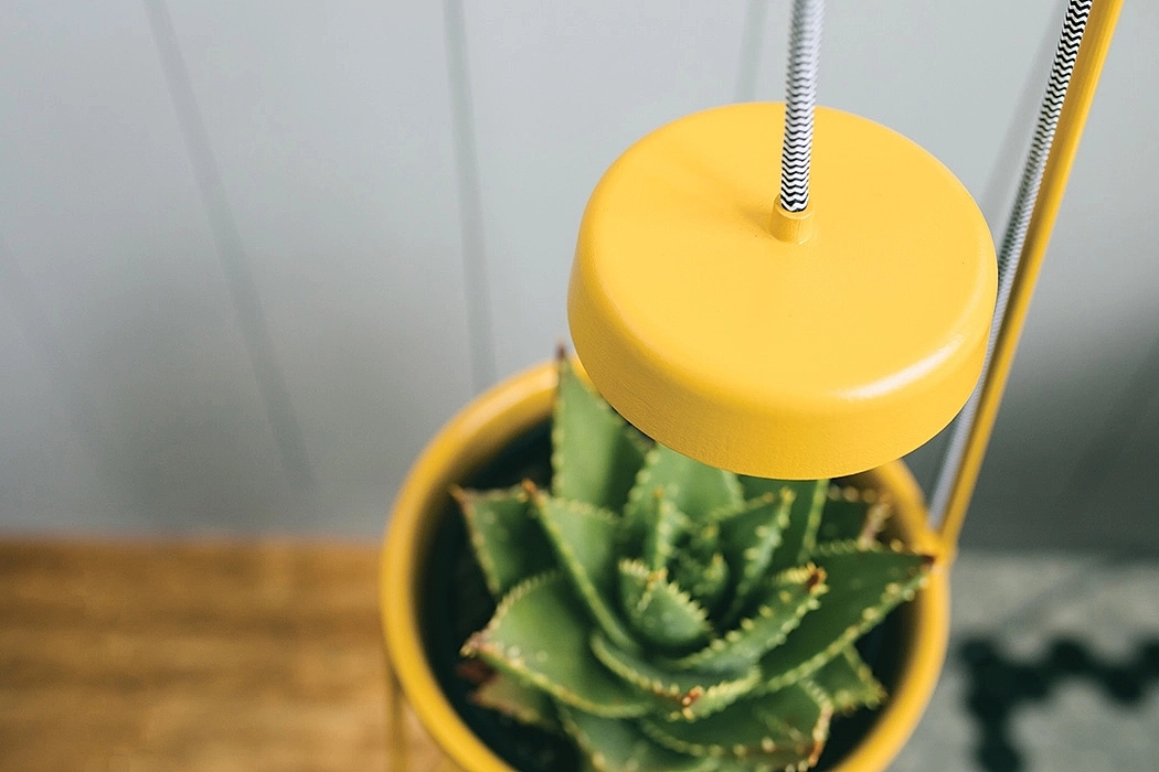 seeder，lamp，decorate，Minimalism，