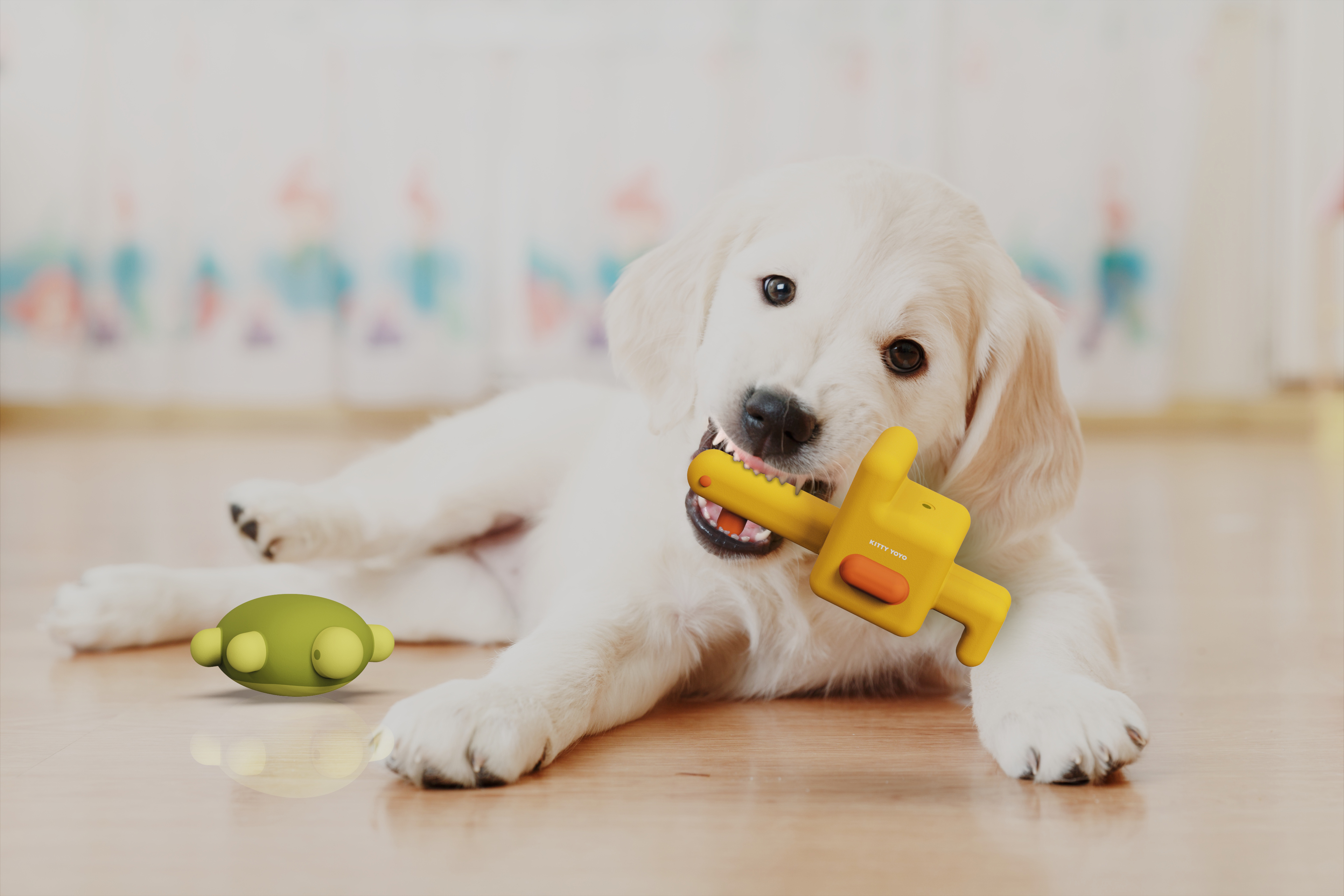 Pets，Toys，animal，Dog bite，