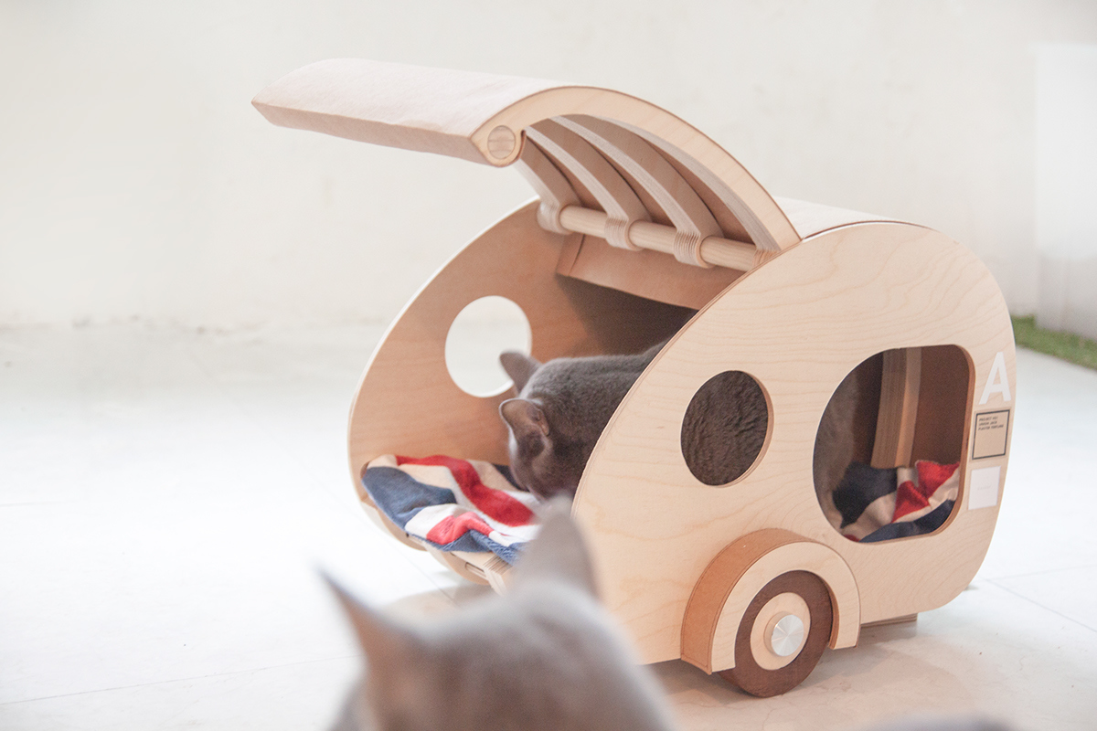 Kitty，home，originality，Design，Pets，