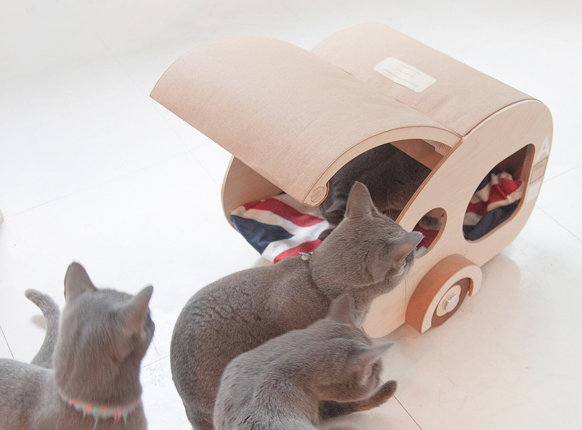 Kitty，home，originality，Design，Pets，