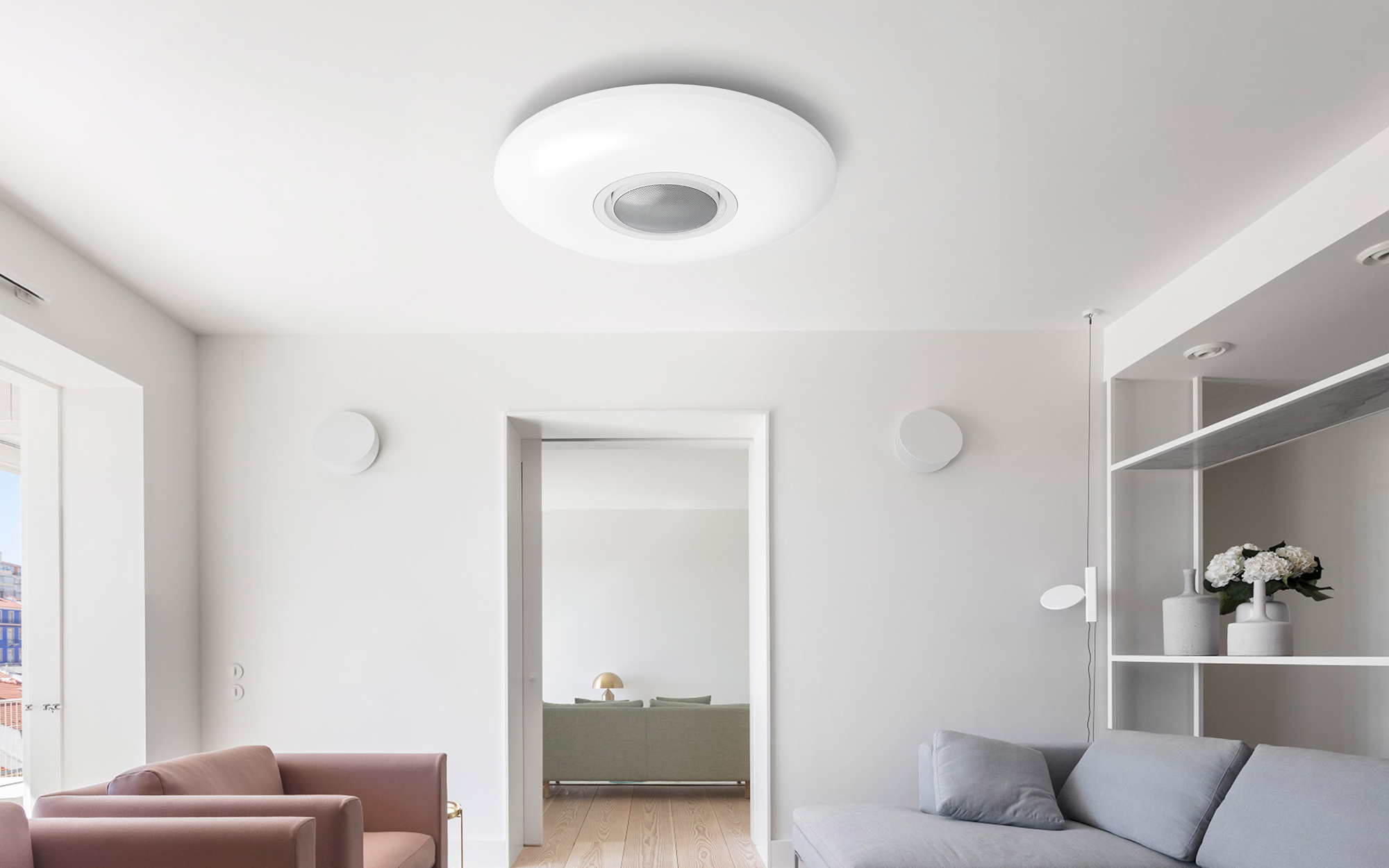 Ceiling lamp，lamps and lanterns，