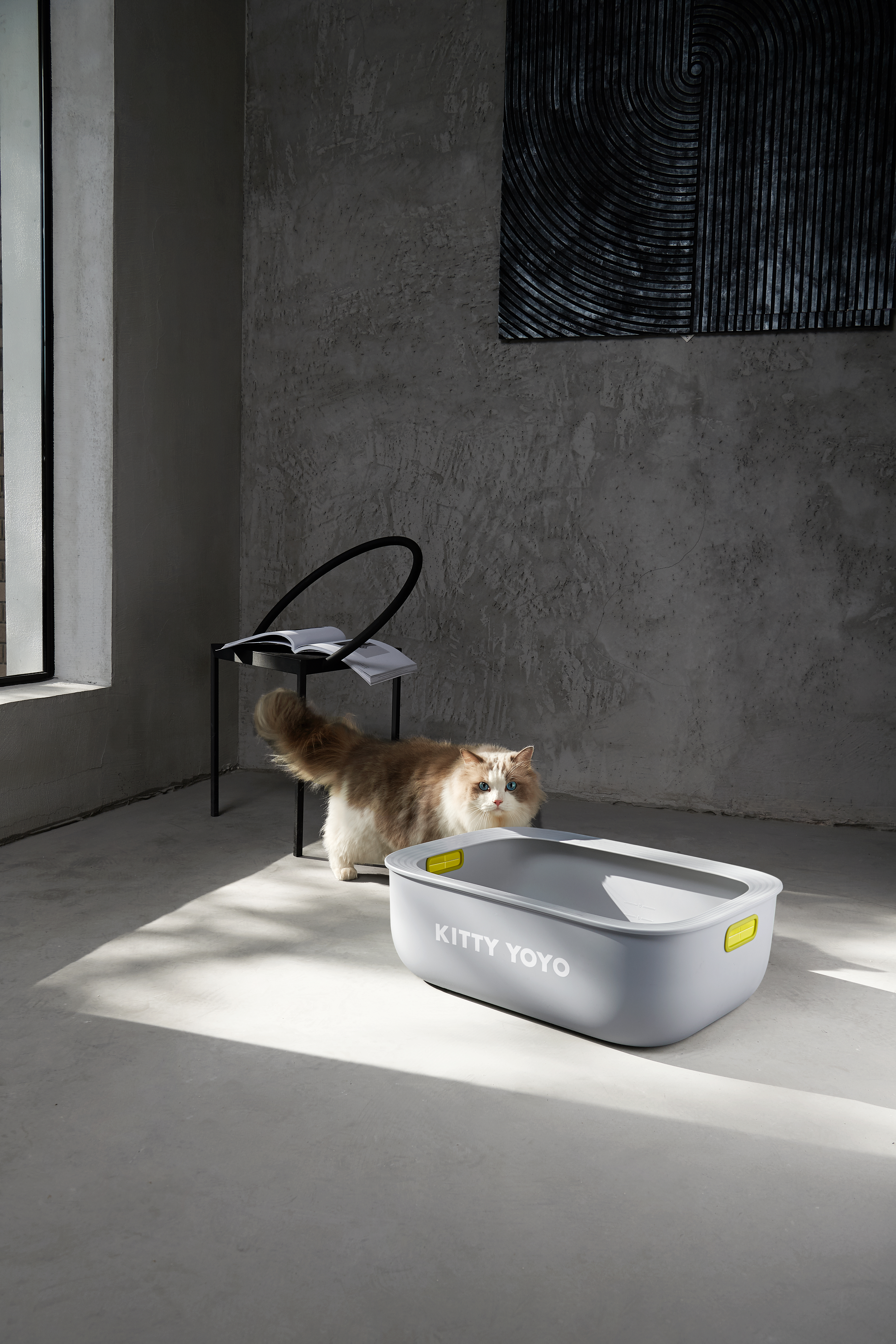 Pet Supplies & Pet，Litter Basin，PET，Pet home，Cat cat，Cat Toilet，