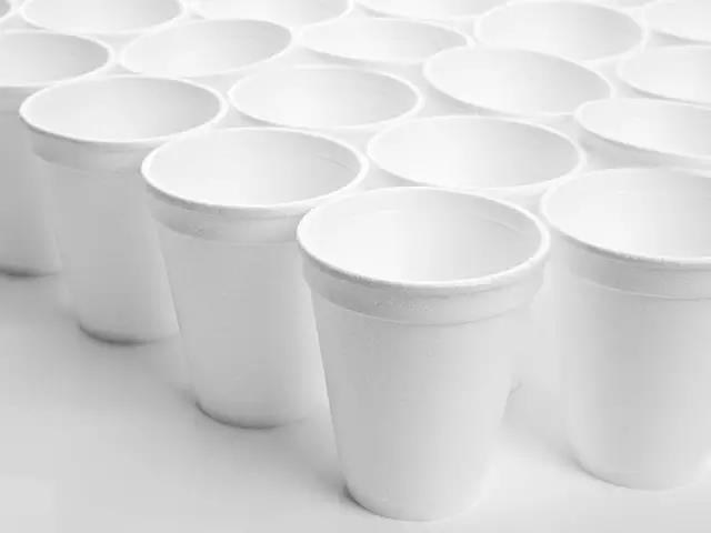 Plastic，Material Science，popularization of science，Design，product，transparent，