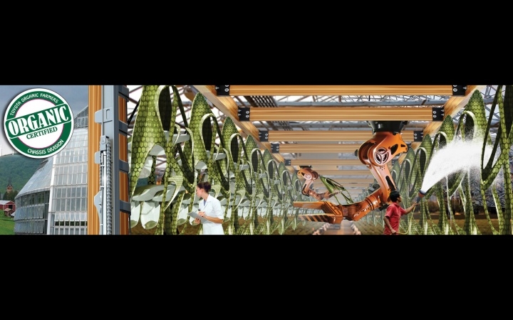 challenge round，two thousand and ten，automobile，