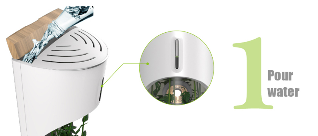 Botany，grow，originality，Design，Home Furnishing，