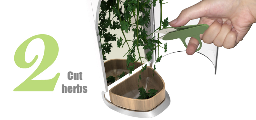 Botany，grow，originality，Design，Home Furnishing，