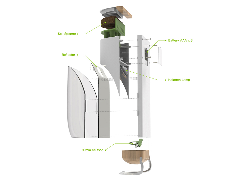 Botany，grow，originality，Design，Home Furnishing，