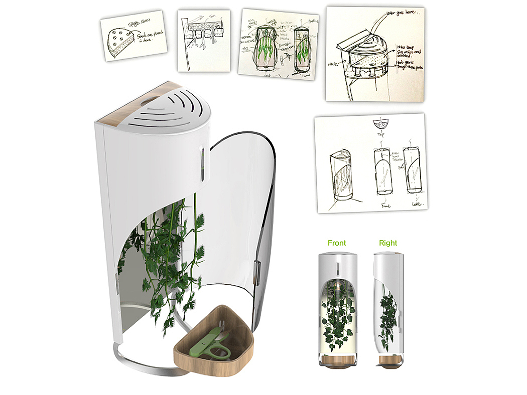 Botany，grow，originality，Design，Home Furnishing，