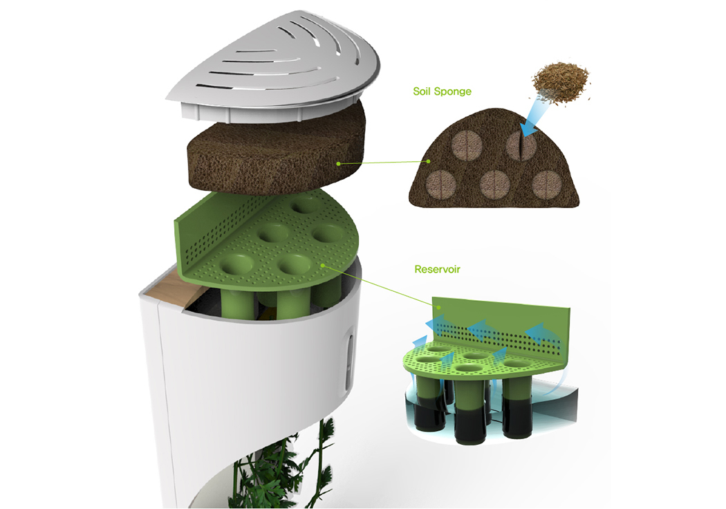 Botany，grow，originality，Design，Home Furnishing，