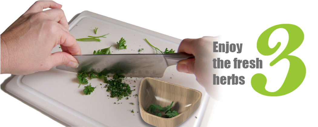 Botany，grow，originality，Design，Home Furnishing，