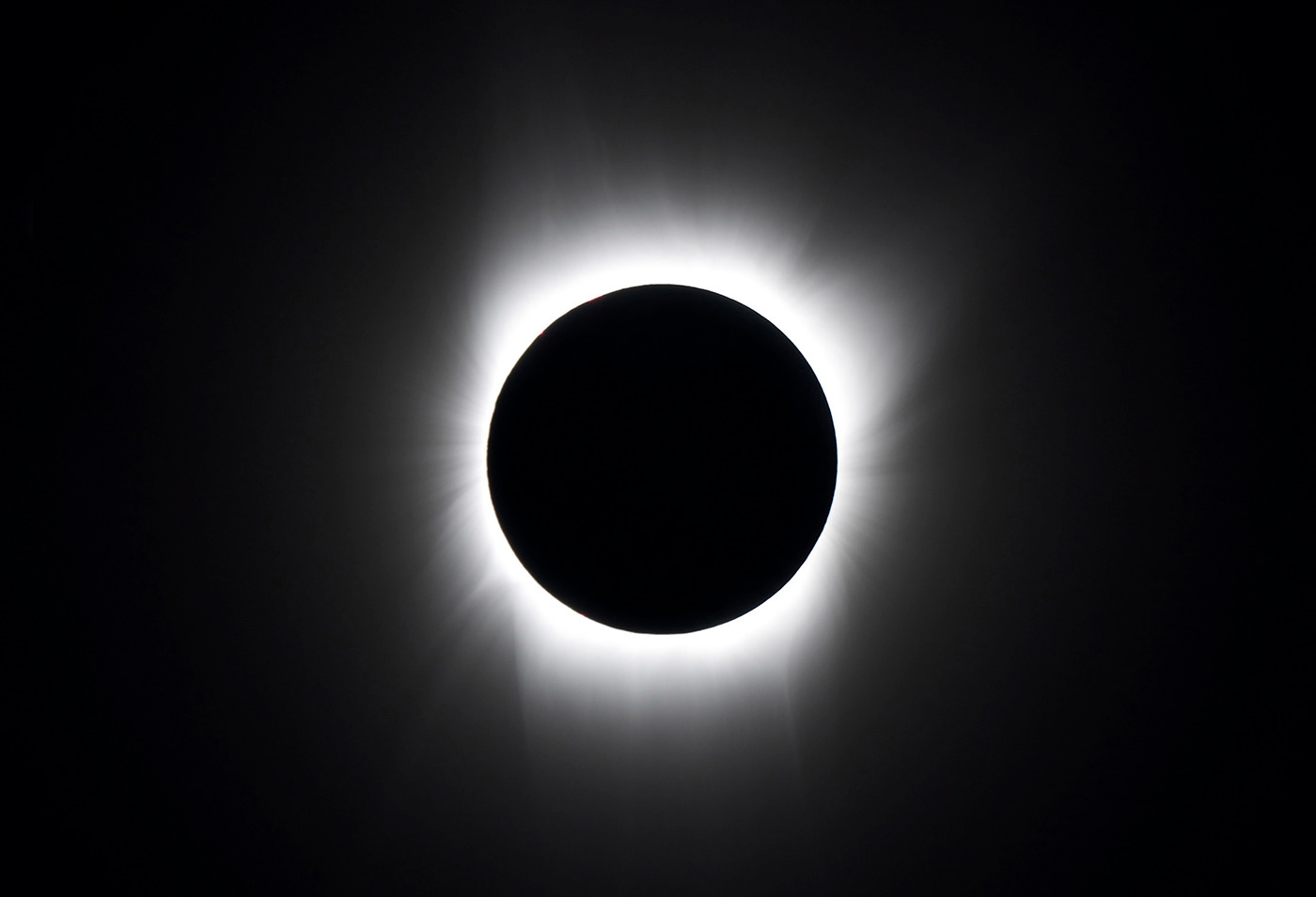 toothbrush，environment protection，Lifetime use，sustainable development，